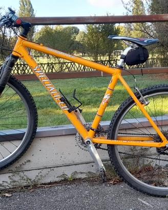 bicicletta MTB