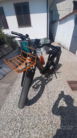 bicicletta elettrica con pedalata assistita 