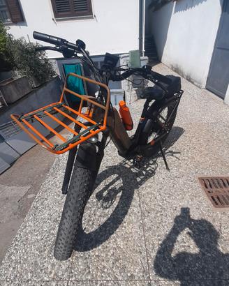 bicicletta elettrica con pedalata assistita 
