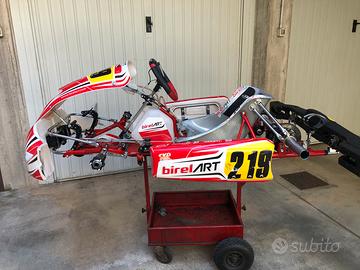 Birel Art S15 OK