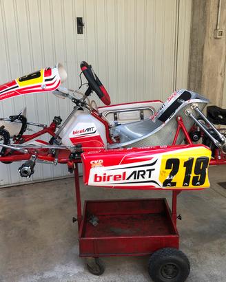 Birel Art S15 OK