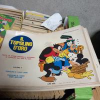 il topolino d' oro