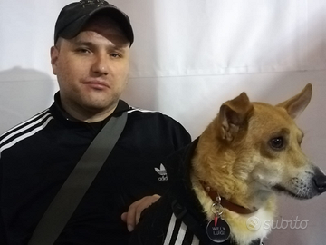 Uomo 40enne cerca lavoro come dog sitter a Napoli