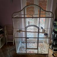 voliera ara cenerini xl