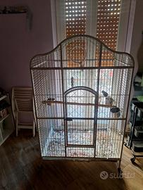 voliera ara cenerini xl