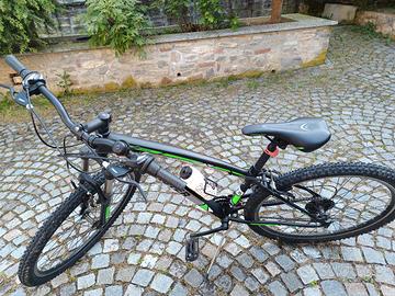 bicicletta 