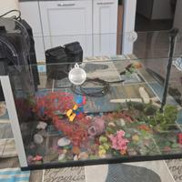 acquario piccolo 