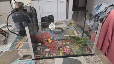 acquario piccolo 
