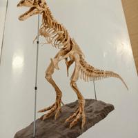 tirannosauro rex