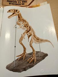 tirannosauro rex