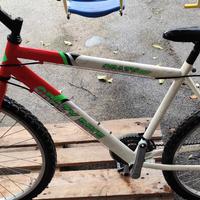 bici per uomo o donna