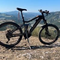 Bicicletta Ebike elettrica