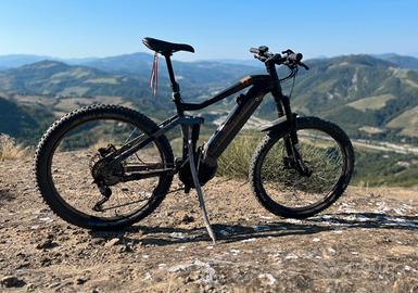 Bicicletta Ebike elettrica