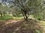 Immagine 18