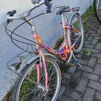Bici per Donna Shimano 