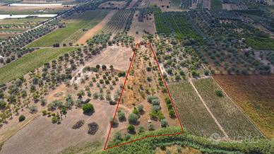 Terreno Agricolo Noto [Cod. rif 3321426VCG]