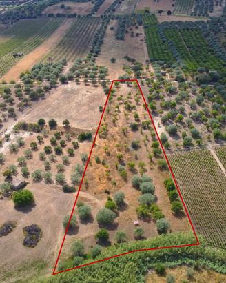 Terreno Agricolo Noto [Cod. rif 3321426VCG]