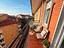 Immagine 9