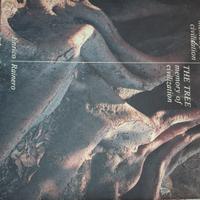 L'albero memoria di civiltà 