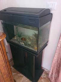acquario
