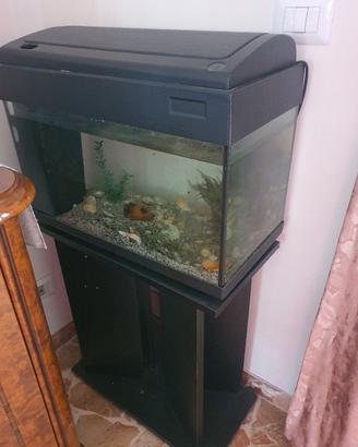 acquario