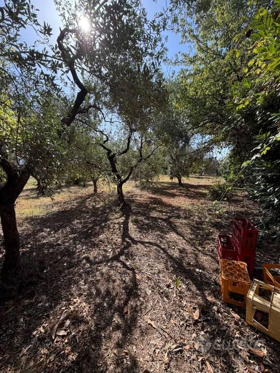 Terreno di 2500 m² a Velletri - Vista 5