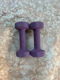 Manubri 2kg gommati viola