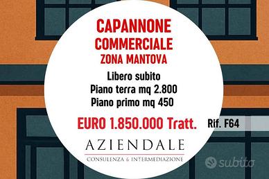 Immobile di 3250 m² a Mantova