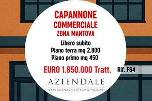 Immobile di 3250 m² a Mantova