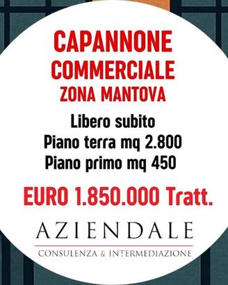 Immobile di 3250 m² a Mantova
