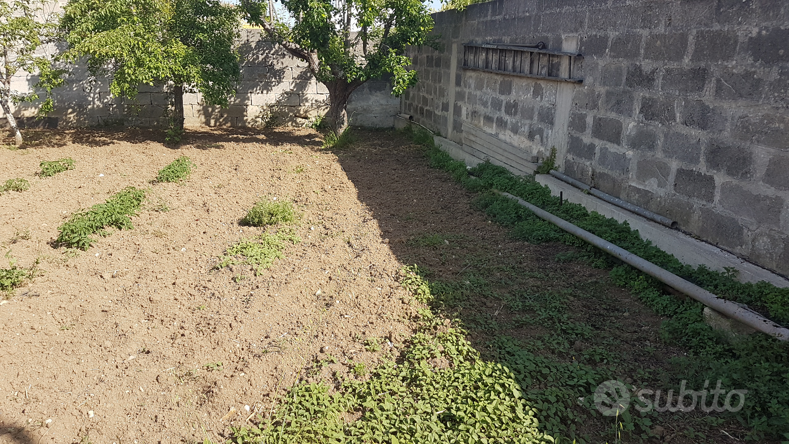 Terreno edificabile Via M. Di Loreto Veglie - Vista 4