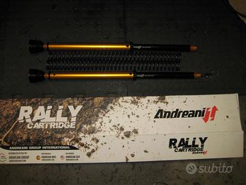 cartuccia forcella andreani ktm