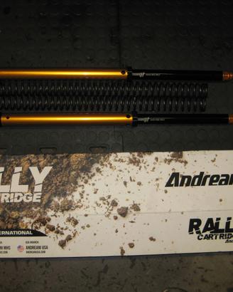 cartuccia forcella andreani ktm