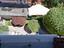 Immagine 22