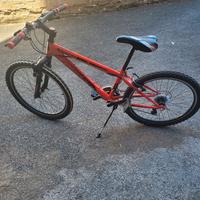 Bici 24"