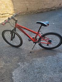 Bici 24"