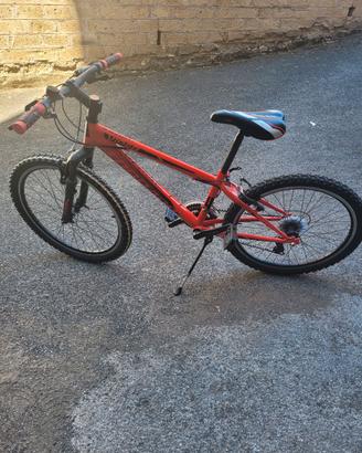 Bici 24"