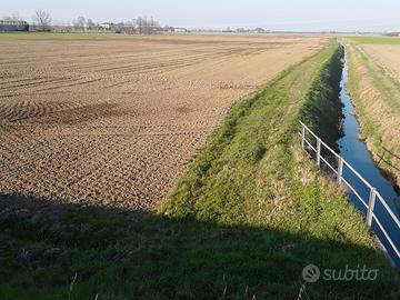 Terreno orto ."Pochi orti per pochi eletti"