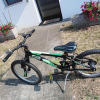 Bici Mountainbike da bambino revisionata