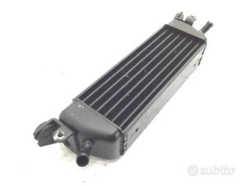 BMW R 850 RT ABS 850 RADIATORE OLIO 2002 2005 EX+P