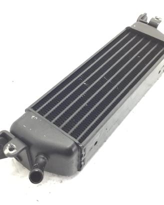 BMW R 850 RT ABS 850 RADIATORE OLIO 2002 2005 EX+P