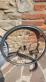 ruote campagnolo NEUTRON