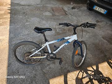 bici ruote da 20