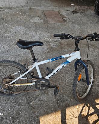 bici ruote da 20