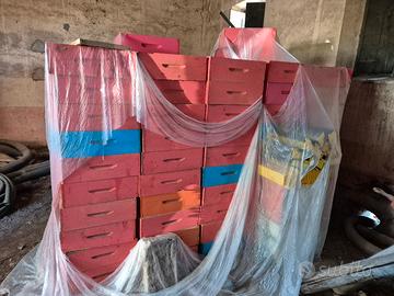 Arnie con portichetto fondo estraibile melari