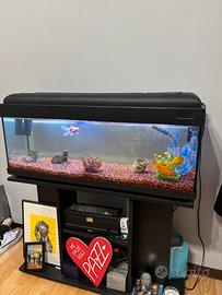 Acquario 80l