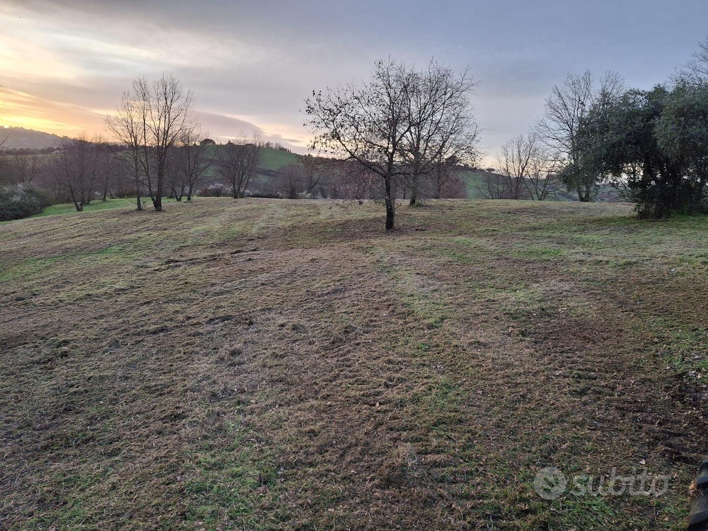 Terreno di 5 ettari anche edificabili - Vista 5
