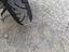 Immagine 4