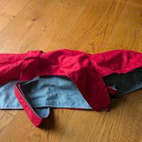 Cappottino pioggia cane