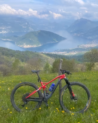 Megamo Track 10 Carbon 29” 2023 M Fox DT Swiss GX